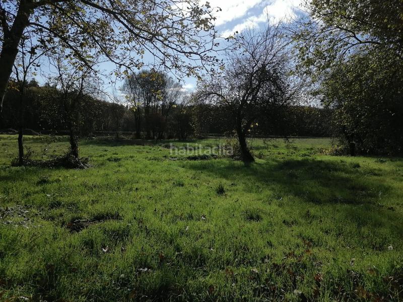 Foto ef235a2f-2916-4410-934f-70ab7375891d. Finca rústica a Castro de Rei
