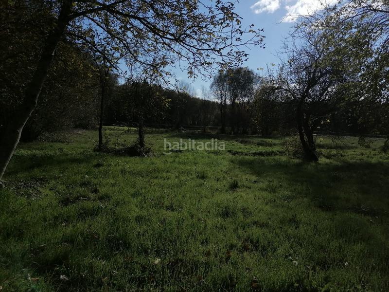 Foto ff5fb972-81f3-489f-84aa-c106265d38ac. Finca rústica a Castro de Rei