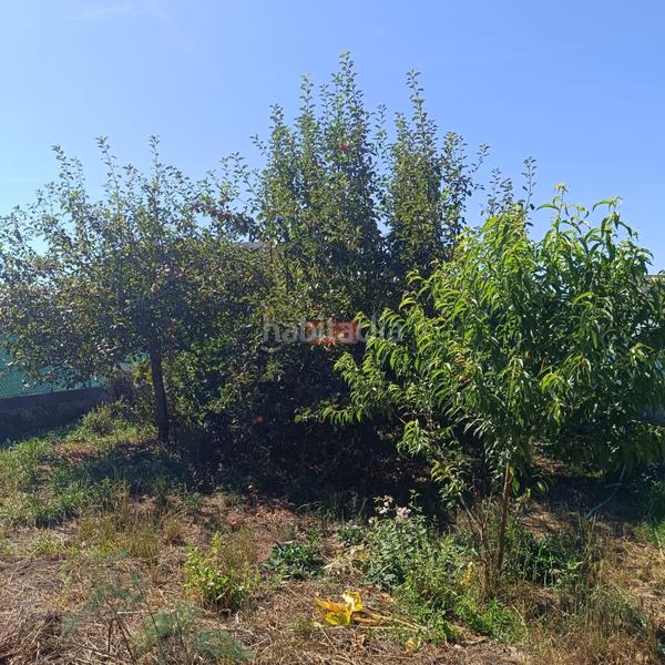 Foto 2a8b0de7-06ce-4d88-94f6-2f1a8cabe937. Terreny residencial a Sagrado Corazón - As Gándaras Lugo