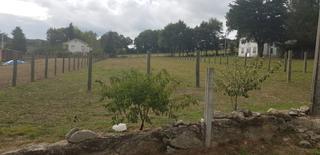 Terreny residencial a Corgo (O). Se vende terreno  urbano cerrado con luz y agua cercano al corgo