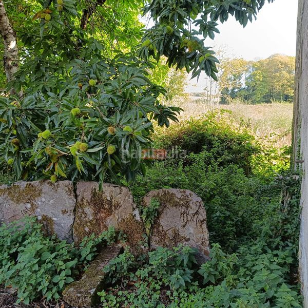 Foto ff25b959-6ff4-4fb9-b051-07ecaf9cac69. Casa a Acea de Olga - Augas Férreas Lugo