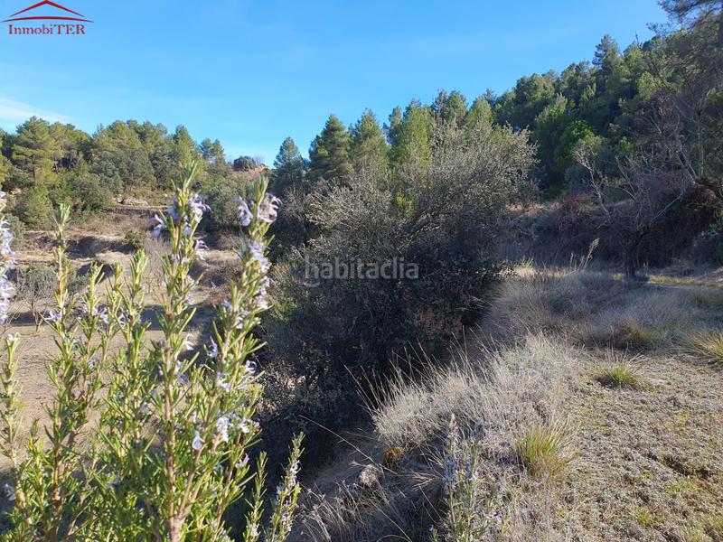 Foto 0c3e0986-aa81-4141-9fde-ac914c51aff7. Casa amb calefacció a Monroyo