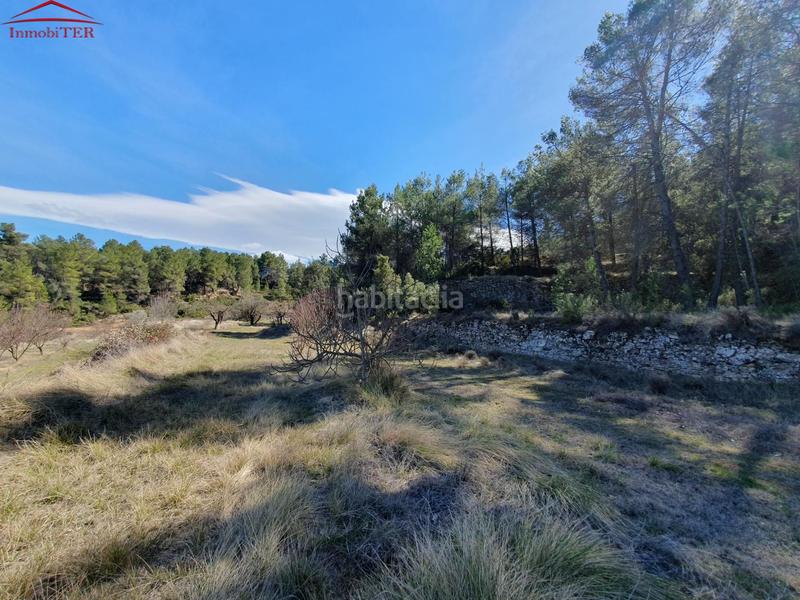 Foto 151d3c87-4005-4398-93ef-590a6a0d15a9. Casa amb calefacció a Monroyo