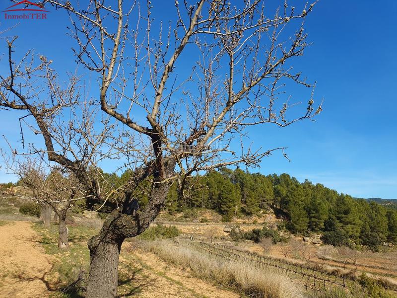Foto d58ed9ce-fb63-46f1-9266-008f0ec35ba8. Casa amb calefacció a Monroyo