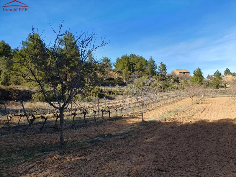 Foto ddb93ce1-8bce-4940-9ac3-40366f52d79d. Casa amb calefacció a Monroyo