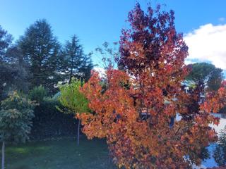 Xalet en Galindo y Perahuy. Tu refugio ideal te espera en la rad!