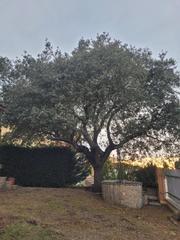 Xalet en Buenavista. Chalet individual impecable en cuatro calzadas