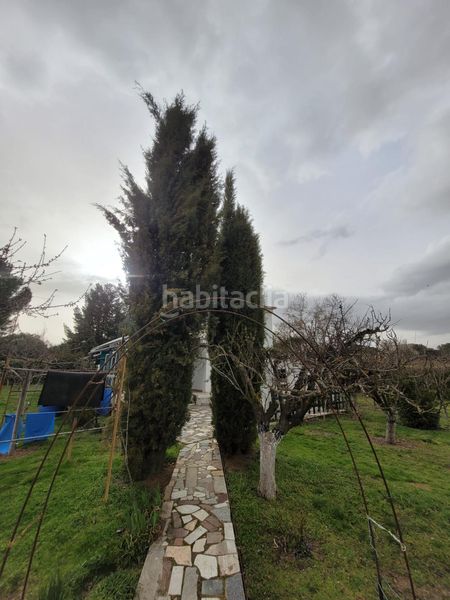 Foto 1e0d5c3c-da84-4227-aced-b29fa075e5ac. Xalet amb piscina a Terradillos