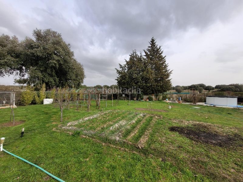 Foto 28f960b0-79a3-409e-906e-de3dfc99aeb9. Xalet amb piscina a Terradillos