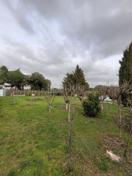 Foto 509b52d9-91fa-4dd4-b0d4-02578868898b. Xalet amb piscina a Terradillos