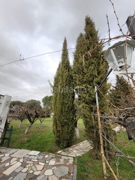 Foto 84d7d7ef-3985-4879-885d-065176bc1998. Xalet amb piscina a Terradillos