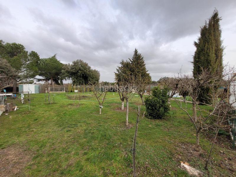 Foto d9bf0092-504f-4eeb-909d-3d5301877f01. Xalet amb piscina a Terradillos