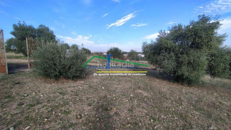 Foto 2d600eba-a810-4d5f-b805-ebecf17017fe. Residential plot in Sur Mérida