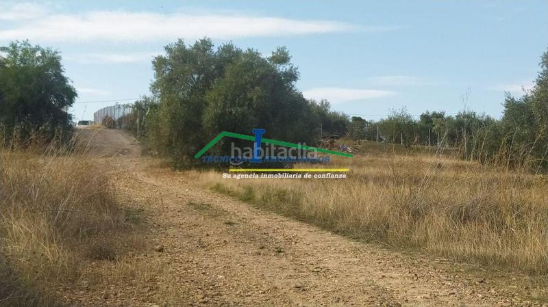 Foto 30ed470e-1281-4328-97ba-7ea0826770f3. Residential plot in Sur Mérida