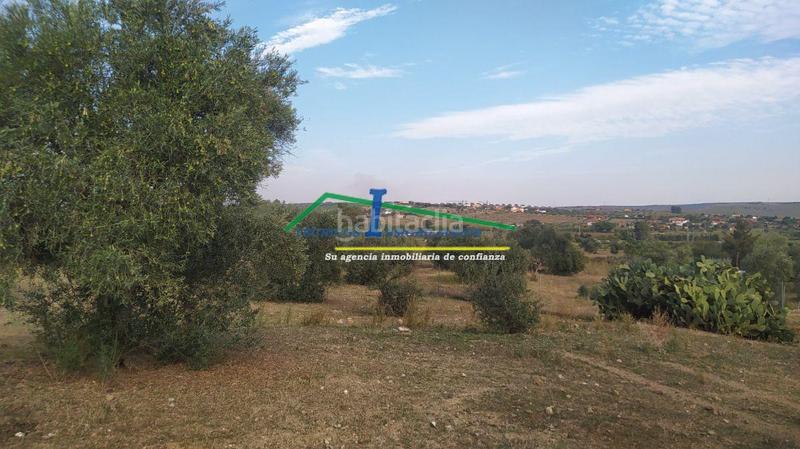 Foto 353fc84a-6407-4919-9320-9f146e79299c. Residential plot in Sur Mérida