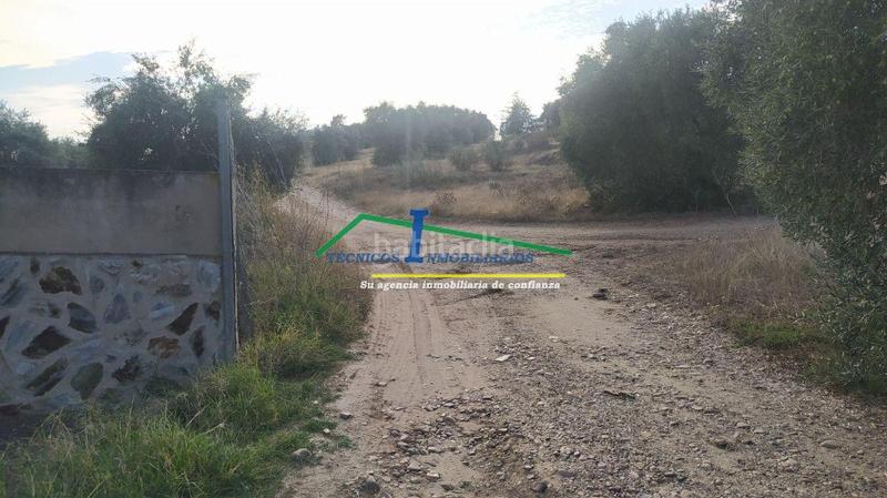 Foto 3c540f00-4662-4eaf-9c1b-c0566bd59344. Residential plot in Sur Mérida