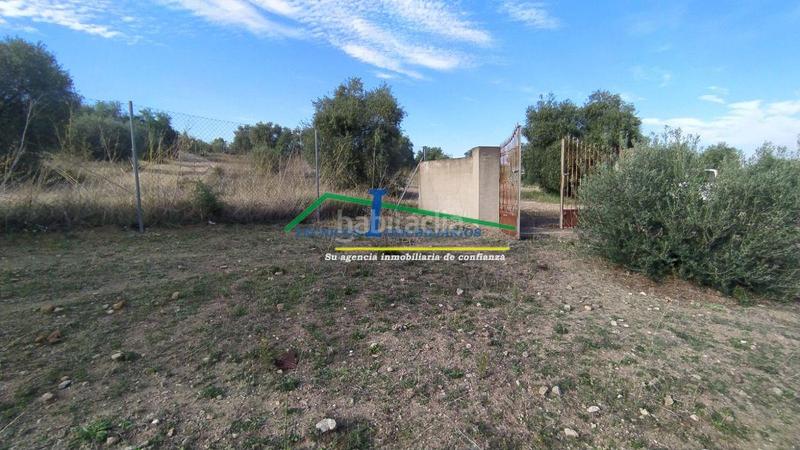 Foto 4d5053ab-eda7-4206-bf8e-bcd3961c5964. Residential plot in Sur Mérida