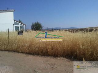 Terreny residencial a Este. Méridaterreno