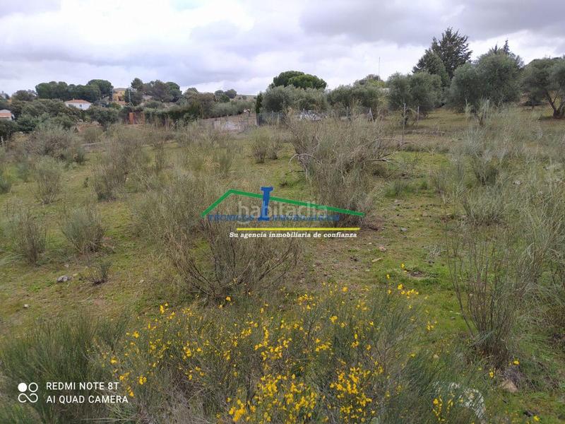 Foto 62c61cf4-2f30-48e9-a829-bb94ac5e6f20. Casale in Don Álvaro