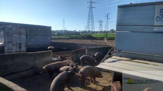 Mas à Oeste. Buen acceso desde mérida, junto a carretera de alange , cercana
