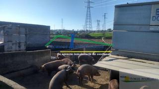Masia a Oeste. Buen acceso desde mérida, junto a carretera de alange , cercana