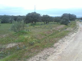 Masia  Santo domingo. Valverde de méridafinca de recreo