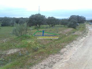 Mas  Santo domingo. Valverde de méridafinca de recreo