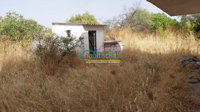 Foto e2f2f36a-a4c3-4ac6-9133-68af3218df9b. Chalet mit pool in Valverde de Mérida