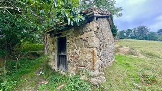 Rural plot in Cabranes - torazo. Finca rústica de más de 24.000 m2