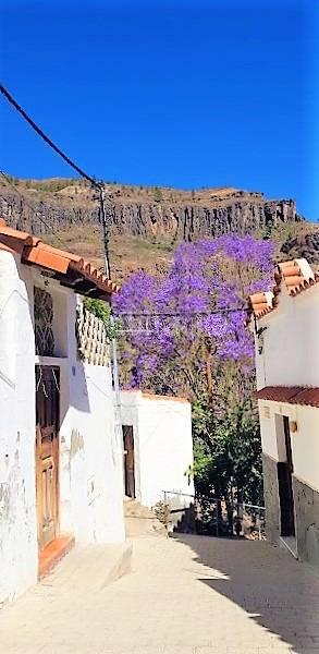 Foto 5995bc25-2684-4d47-99cc-b791afcbe66b. Mas avec chauffage dans San Bartolomé Interior San Bartolomé de Tirajana