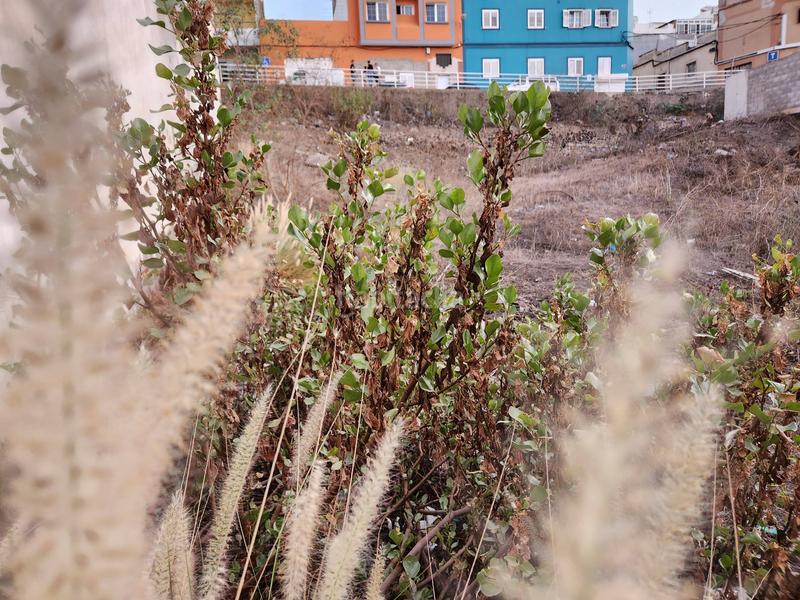 Foto e5611c44-2824-4214-ae86-1bd2fdc30d3f. Terreno residenziale in paseo paseo los martires 169 in Palmas de Gran Canaria (Las)