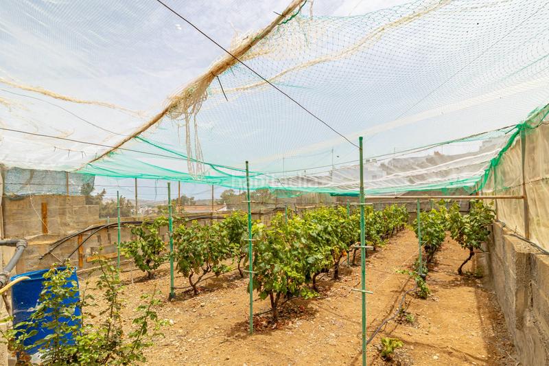 Foto c64f7ce6-314d-411d-b727-9be357e0228d. Xalet amb calefacció aparcament piscina a Arucas casco Arucas