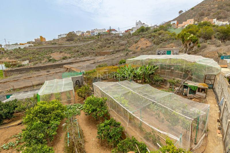 Foto db06c237-b569-44f9-9536-272ad49c9475. Xalet amb calefacció aparcament piscina a Arucas casco Arucas