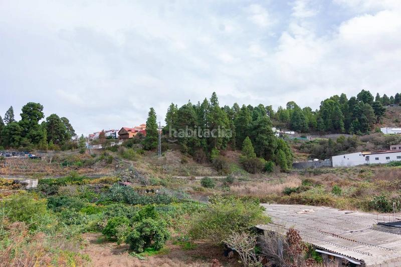 Foto 0e260afe-3247-4bb2-828e-d0b315272bc2. Finca rústica a La Vega - El Amparo - Cueva del Viento Icod de los Vinos