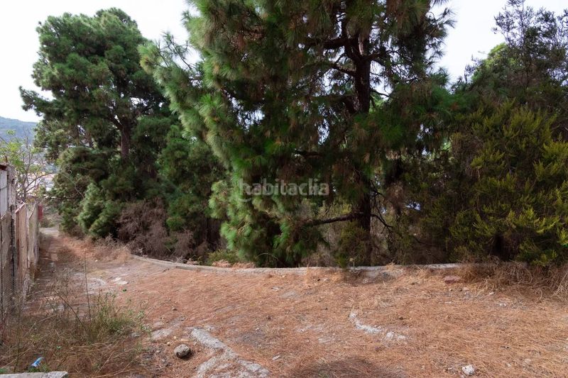 Foto 3118e871-2a51-426d-bec9-5edf9de997d3. Finca rústica a La Vega - El Amparo - Cueva del Viento Icod de los Vinos