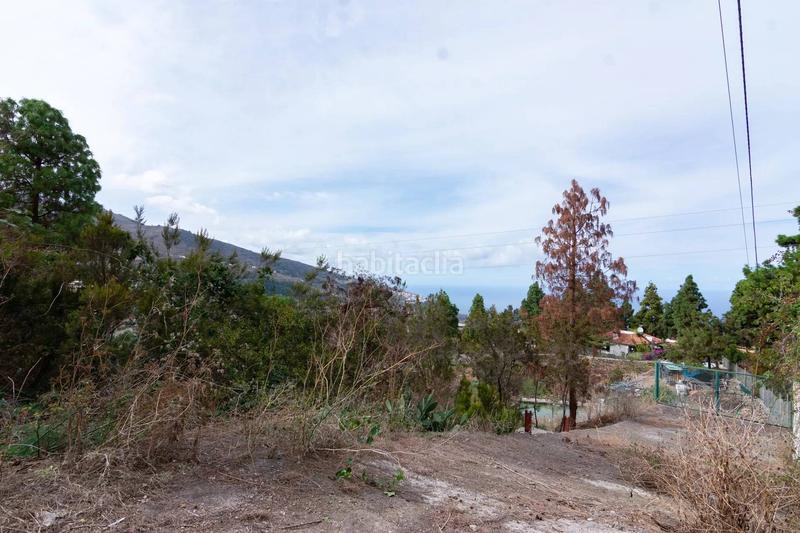 Foto 367c9584-d8ff-4c61-a775-7b4c269c3950. Finca rústica a La Vega - El Amparo - Cueva del Viento Icod de los Vinos