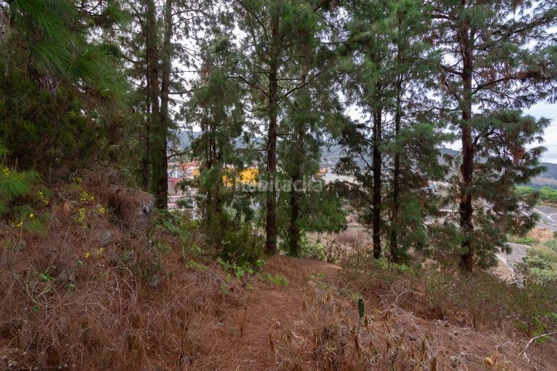 Foto 5fc3cb40-b5a5-4139-9fd2-fffd96a172ec. Finca rústica a La Vega - El Amparo - Cueva del Viento Icod de los Vinos