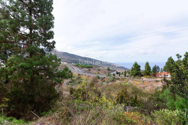 Foto 63f7ee39-6db4-4d94-b29e-c61210decbee. Finca rústica a La Vega - El Amparo - Cueva del Viento Icod de los Vinos