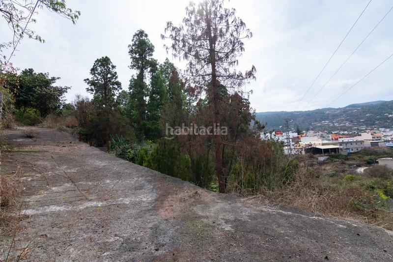 Foto 80af9f25-652a-4924-87f3-e72c89150e18. Finca rústica a La Vega - El Amparo - Cueva del Viento Icod de los Vinos