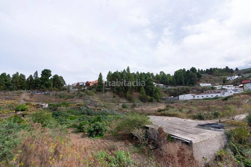 Foto ab8b8617-925c-48d0-8ad9-5541b6ca5f77. Finca rústica a La Vega - El Amparo - Cueva del Viento Icod de los Vinos