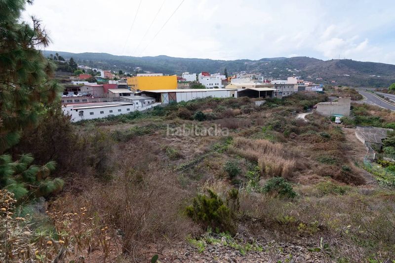 Foto c3ec8f66-0f40-4c29-aad3-c7e74513ad00. Finca rústica a La Vega - El Amparo - Cueva del Viento Icod de los Vinos