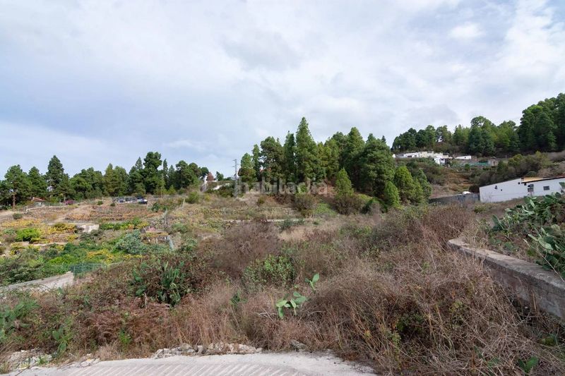 Foto fd416960-b158-4454-99cc-947a8388e390. Finca rústica a La Vega - El Amparo - Cueva del Viento Icod de los Vinos