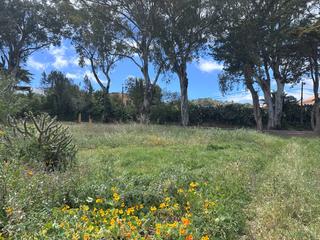 Terreny residencial a Portada Verde - Lomo Espino - Guanche. Solar urbano a pie de carretera en santa brígida