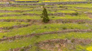 Finca rústica a Casco Urbano. Venta de terreno rústico las moraditasadeje