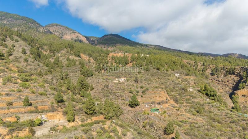 Foto f89c501d-5357-4bf4-88f8-8075a0b5dfdd. Masia a Arafo