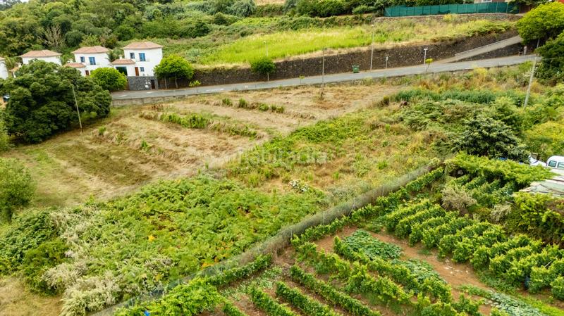 Foto acc218fd-d762-4f00-b4f8-acca6c368a3b. Terrain résidentiel dans Sauzal (El)