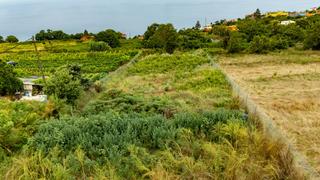 Terreny residencial  Calle cancelillas. Venta de terreno urbano y rústico en ravelo el sauzal