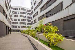 Lloguer Pis  Carretera crta de chile. Alquilo amplia vivienda con gimnasio y piscina