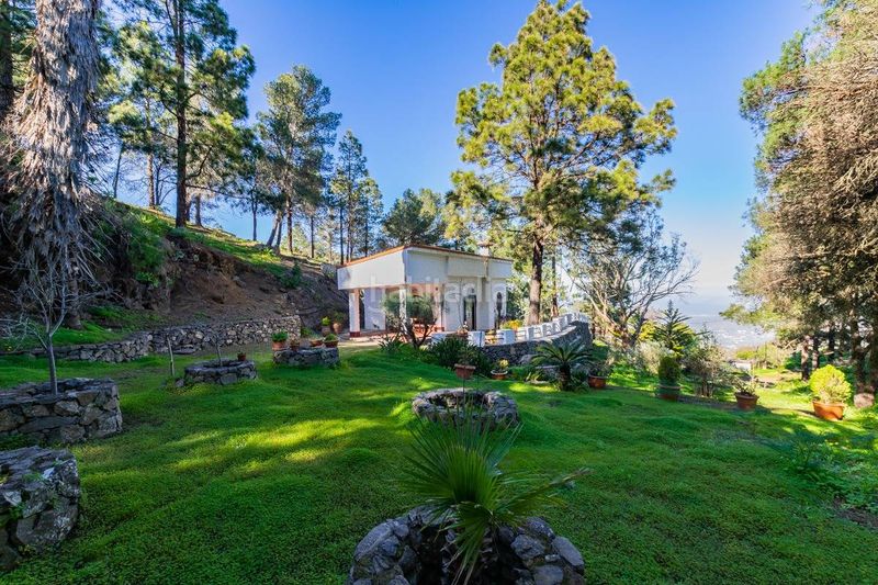 Foto 1a2bf6e4-e9f7-4e58-8bdb-75f5bdcfe2db. Casa a Valle de los Nueve - El Ejido - Medianías Telde