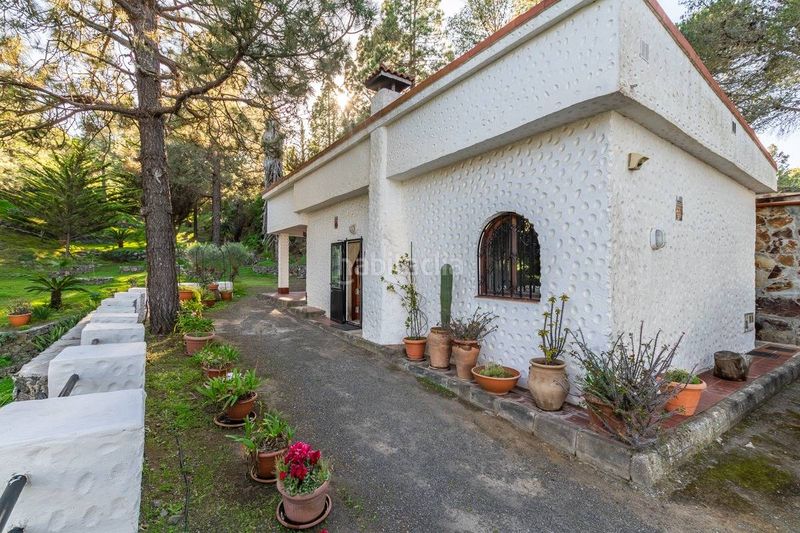Foto 45fae9db-a93c-40a7-a5c1-ce40b89849fa. Casa a Valle de los Nueve - El Ejido - Medianías Telde